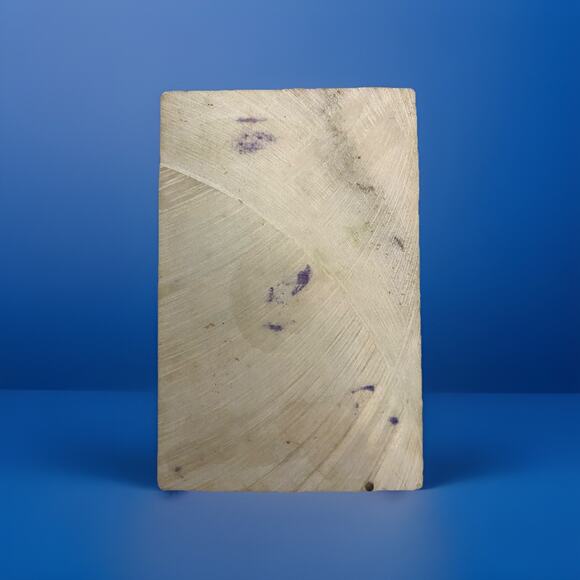 Rajasthan Hindu India Court Painting on Stone Figural Scene post 1940 4"x6" - Picture 4 of 6